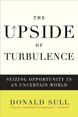 The Upside of Turbulence pdf epub mobi 电子书 下载