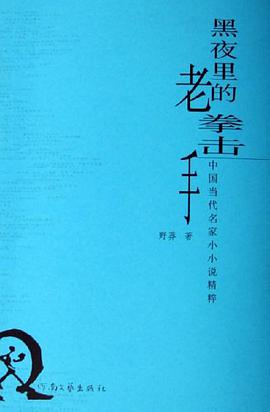 黑夜里的老拳击手 pdf epub mobi 电子书 下载