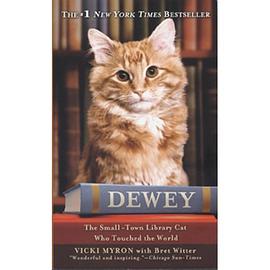 DEWEY pdf epub mobi 电子书 下载