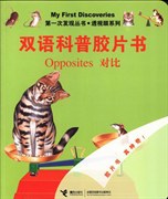 对比 pdf epub mobi 电子书 下载