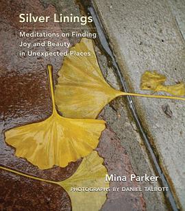 Silver Linings pdf epub mobi 下载