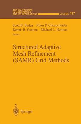 Structured Adaptive Mesh Refinement pdf epub mobi 电子书 下载