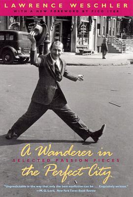 A Wanderer in the Perfect City pdf epub mobi 电子书 下载