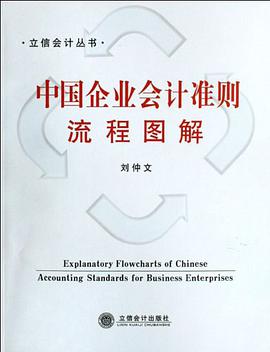 中國企業會計準則流程圖解 pdf epub mobi 下载