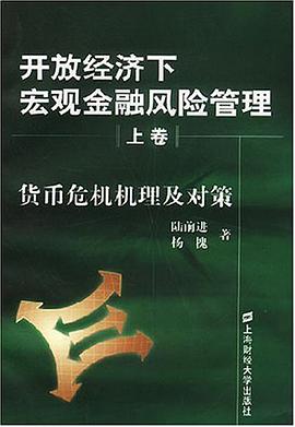 开放经济下宏观金融风险管理 pdf epub mobi 电子书 下载