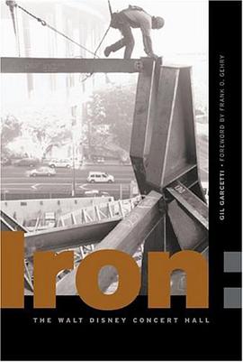 Iron pdf epub mobi 下载