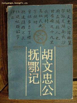 胡文忠公抚鄂记 pdf epub mobi 电子书 下载