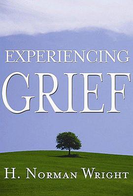 Experiencing Grief pdf epub mobi 电子书 下载