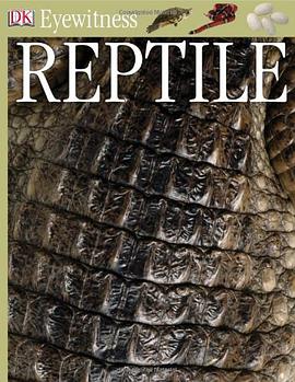 Reptile pdf epub mobi 电子书 下载