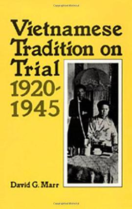 Vietnamese Tradition on Trial, 1920-1945 pdf epub mobi 电子书 下载