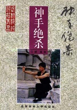 神手绝杀 pdf epub mobi 电子书 下载