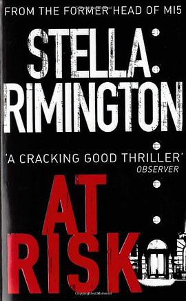 AT RISK pdf epub mobi 电子书 下载