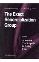The Exact Renormalization Group pdf epub mobi 电子书 下载