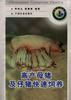 高产母猪及仔猪快速饲养 pdf epub mobi 电子书 下载