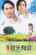苍天有泪二十四集大型电视连续剧经济版三碟装(DVD)
