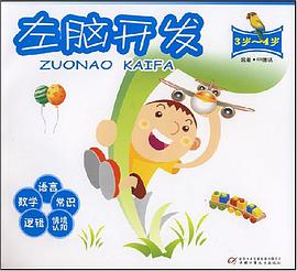 左脑开发 pdf epub mobi 电子书 下载