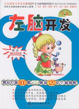 左脑开发 pdf epub mobi 电子书 下载