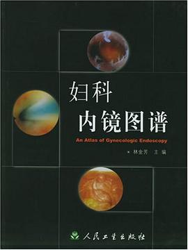 妇科内镜图谱 pdf epub mobi 电子书 下载
