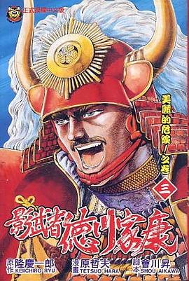 影武者德川家康(03)