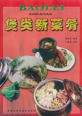 煲类新菜肴 pdf epub mobi 电子书 下载