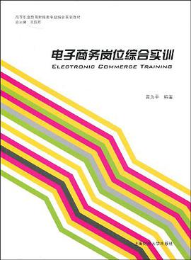电子商务岗位综合实训 pdf epub mobi 电子书 下载