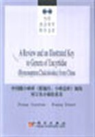 中国跳小蜂科 pdf epub mobi 电子书 下载