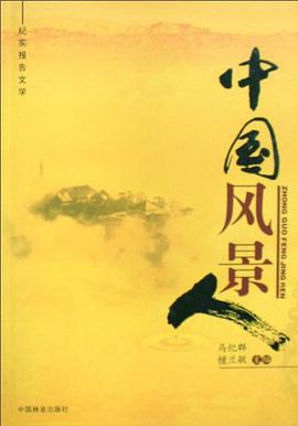 中国风景人 pdf epub mobi 电子书 下载