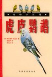 虎皮鹦鹉  宠物小百科