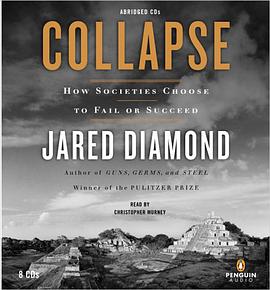 Collapse pdf epub mobi 电子书 下载
