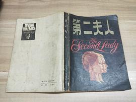 第二夫人 pdf epub mobi 电子书 下载