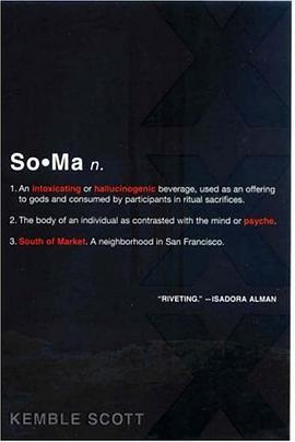 SoMa pdf epub mobi 电子书 下载