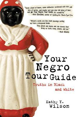 Your Negro Tour Guide pdf epub mobi 电子书 下载