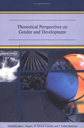 Theoretical Perspectives on Gender and Poverty pdf epub mobi 电子书 下载