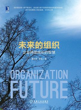 未来的组织：企业持续成长的智慧 pdf epub mobi 电子书 下载