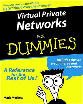 Virtual Private Networks For Dummies pdf epub mobi 电子书 下载