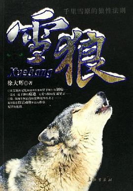 雪狼 pdf epub mobi 电子书 下载