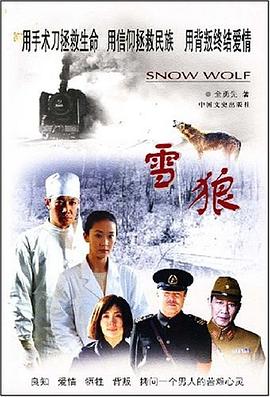 雪狼 pdf epub mobi 下载