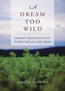 A Dream Too Wild pdf epub mobi 电子书 下载