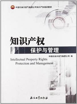 知识产权保护与管理 pdf epub mobi 电子书 下载