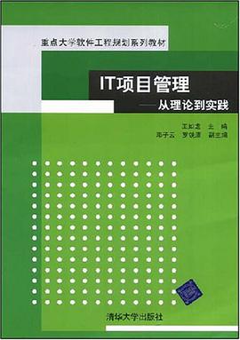 IT项目管理 pdf epub mobi 电子书 下载