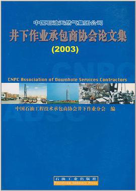 中国石油天然气集团公司井下作业承包商协会论文集 pdf epub mobi 电子书 下载
