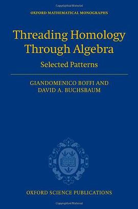 Threading Homology Through Algebra pdf epub mobi 下载
