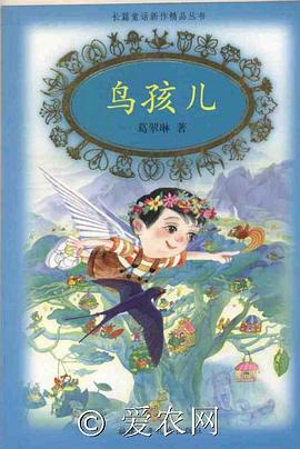 鸟孩儿 pdf epub mobi 电子书 下载