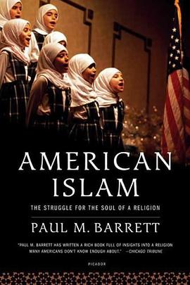 American Islam pdf epub mobi 电子书 下载