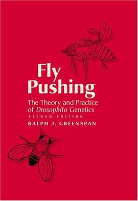 Fly Pushing pdf epub mobi 電子書 下載