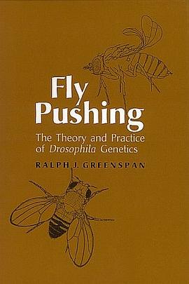 Fly Pushing pdf epub mobi 电子书 下载