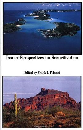Issuer Perspectives on Securitization