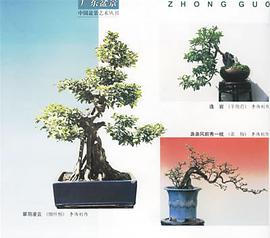 广东盆景 pdf epub mobi 电子书 下载