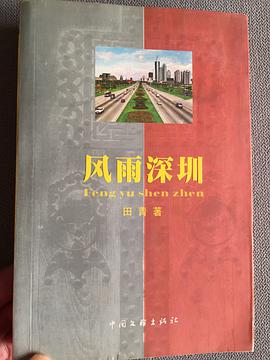 风雨深圳 pdf epub mobi 电子书 下载