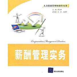 薪酬管理实务 pdf epub mobi 电子书 下载